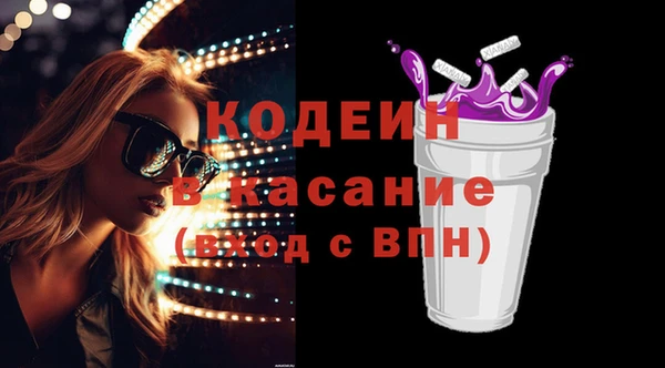 шишки Мегион