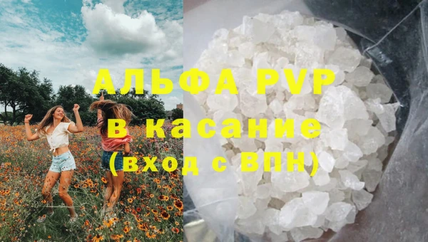 шишки Мегион