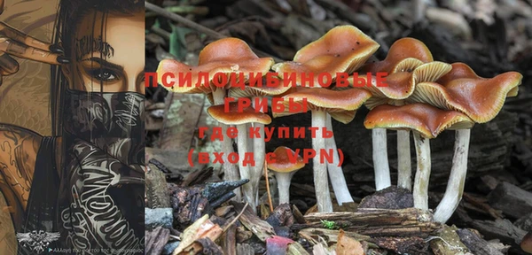 мяу мяу мука Медвежьегорск