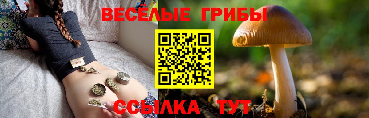 Псилоцибиновые грибы Psilocybine cubensis  Галлюциногенные грибы Psilocybe  продажа наркотиков  Лиски 